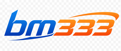 bm333